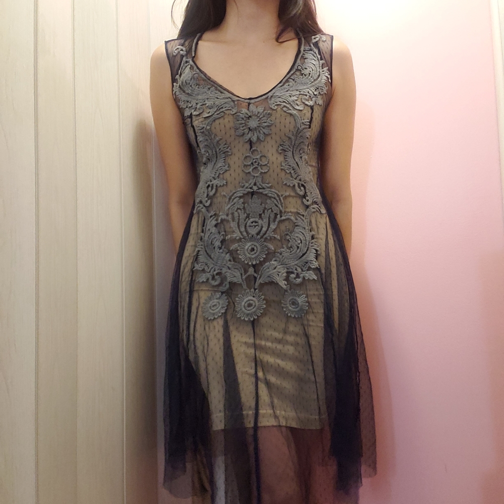 Embroidered overlay sheer dress